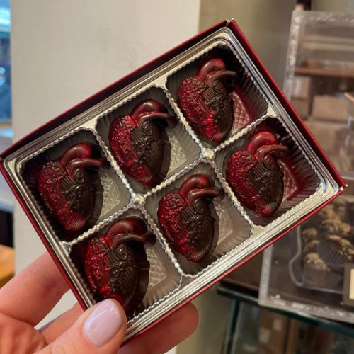 Eat Your Heart Out - Anatomical Heart Truffles